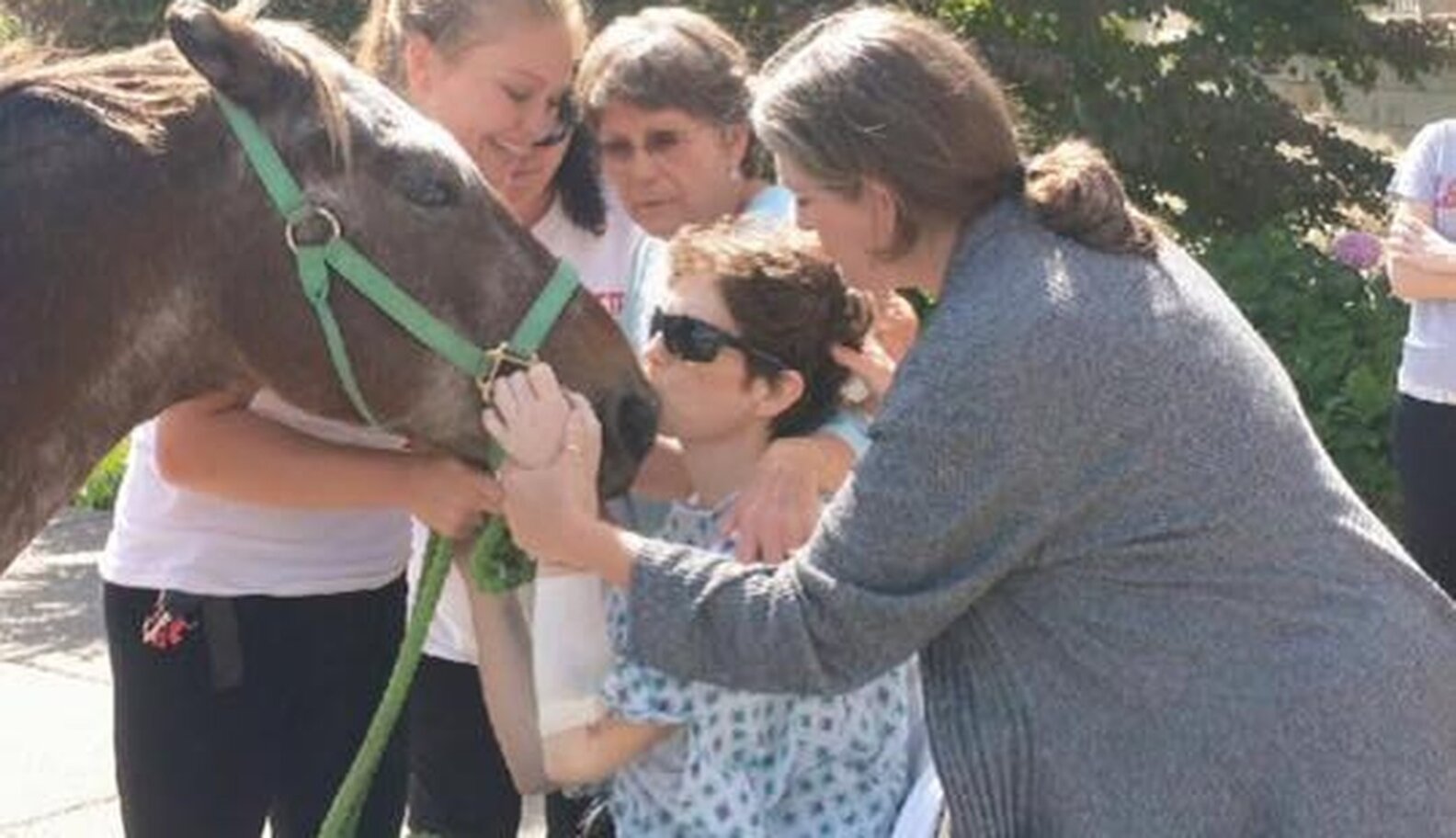 Horse Visits Hospital To Bid Farewell To His Ailing Owner The Dodo