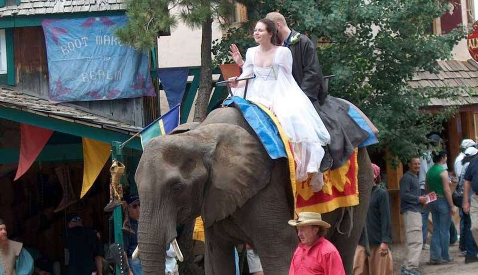 Elephant Rides Renaissance Fair Elephant Rides Are Always Cruel Even If They're 'Treated Well' - The Dodo