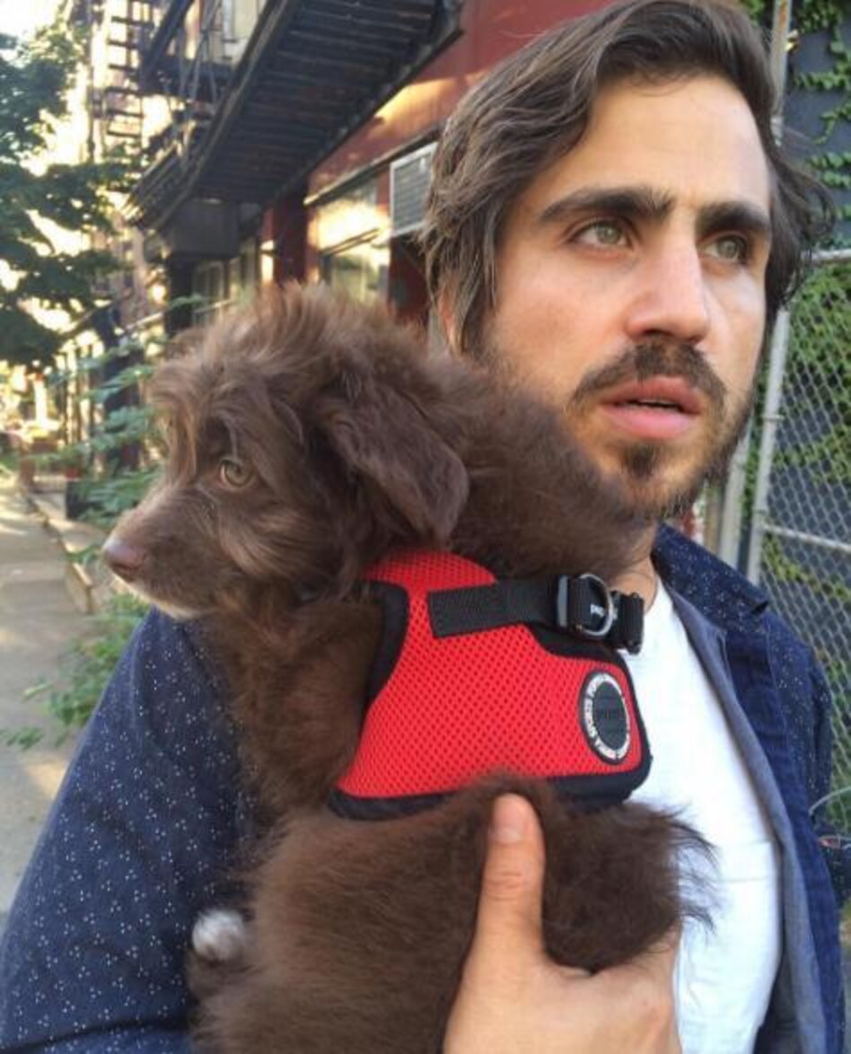 Dog Looks Just Like His Dad — So They Dress Alike Too - The Dodo