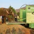 Elephant Rides To Freedom After 53 Years Of Abuse In The Circus