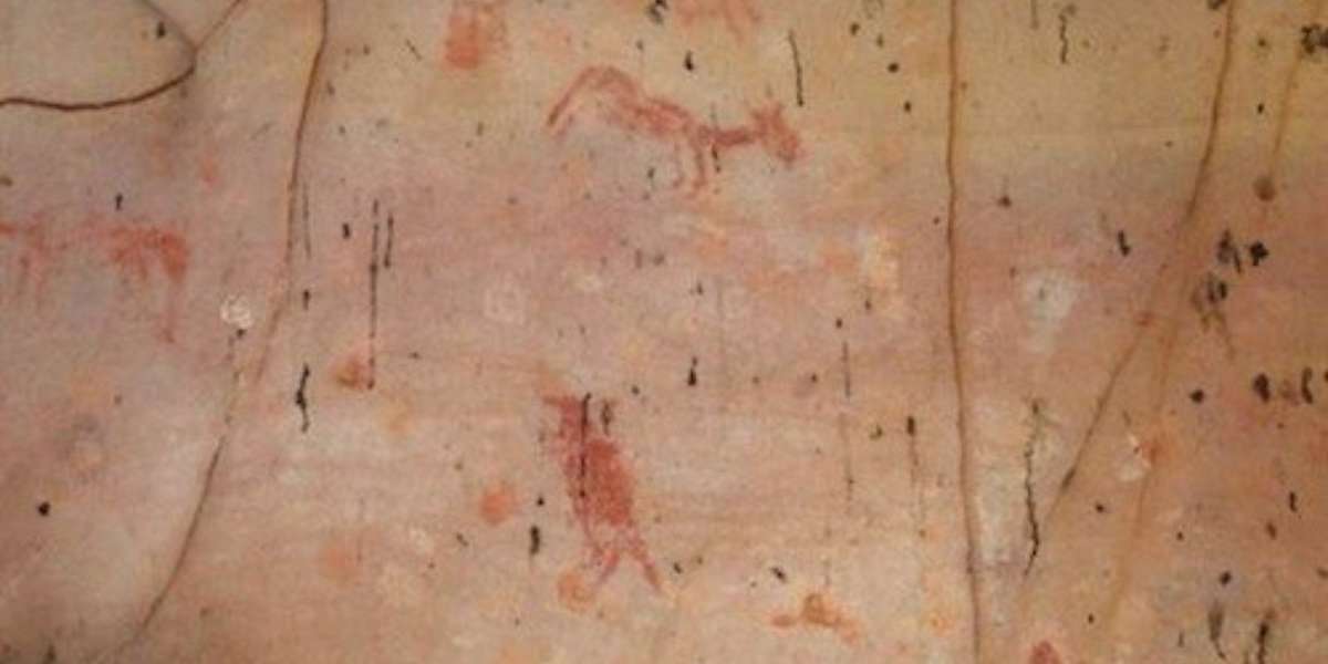 Ancient Animal Drawings Discovered in Remote Brazilian Jungle The Dodo