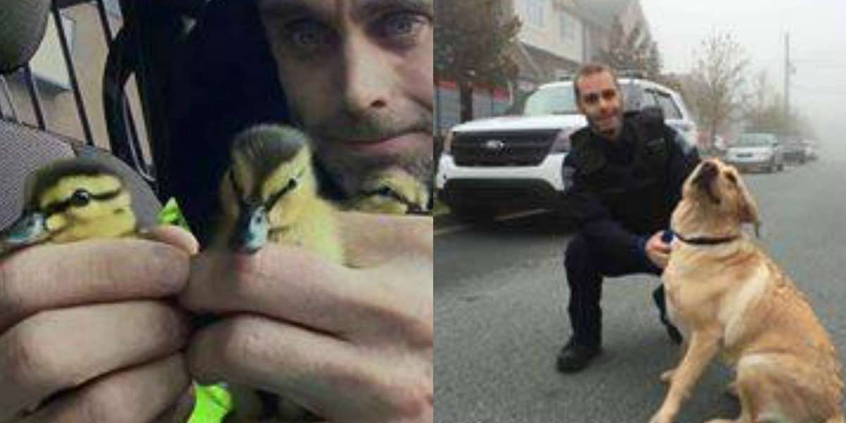 Police Officer Just Keeps Rescuing Animals Over And Over - The Dodo