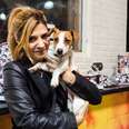 Dogs and Cats adopted at Vans X ASPCA Event in Brooklyn