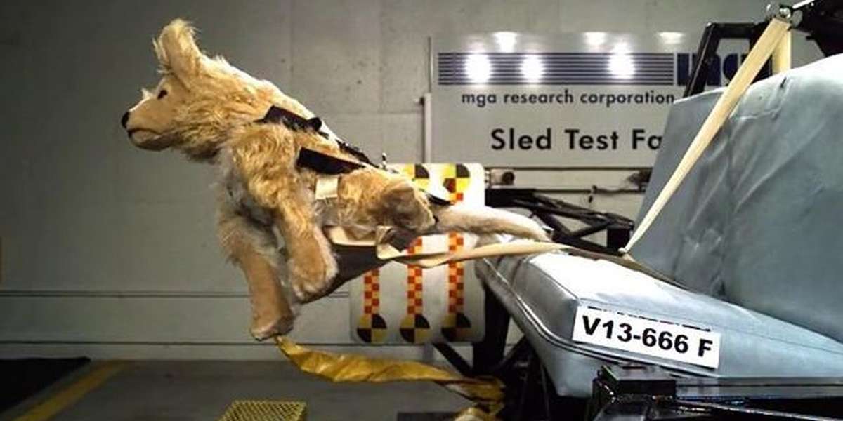 Crash Test Videos Show Pet Carriers Aren't Always Safe The Dodo