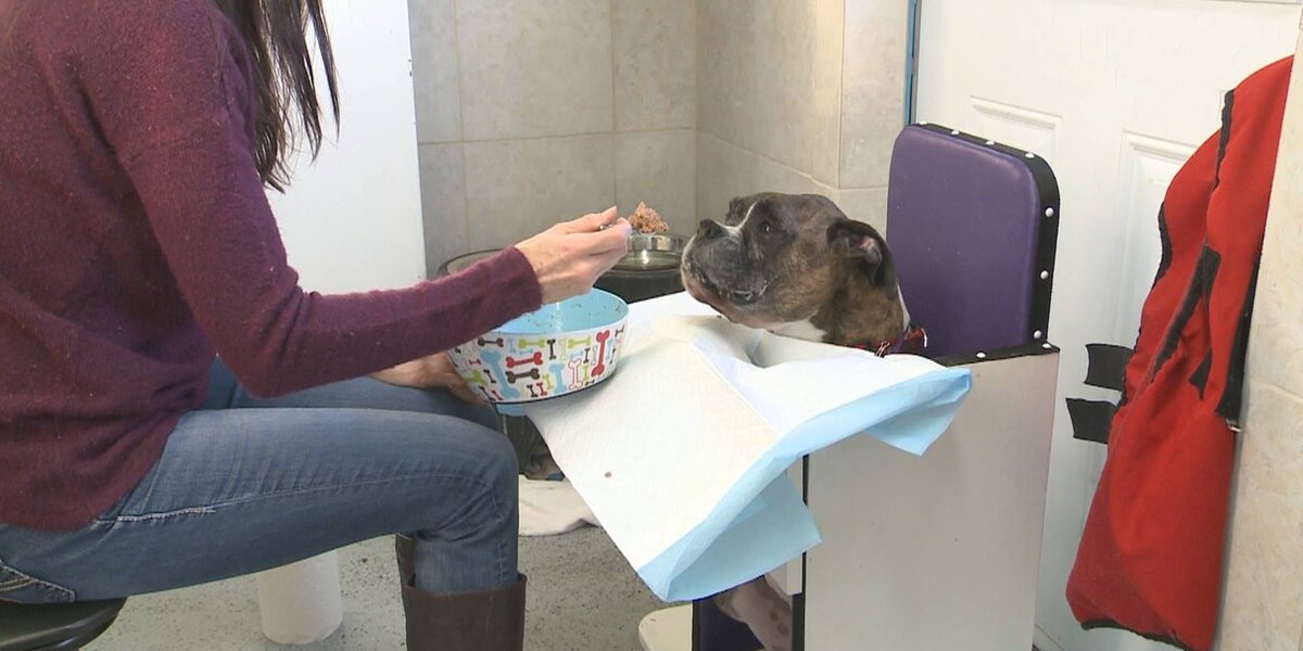 Dog Can’t Find A Home … Because Of How He Eats - The Dodo