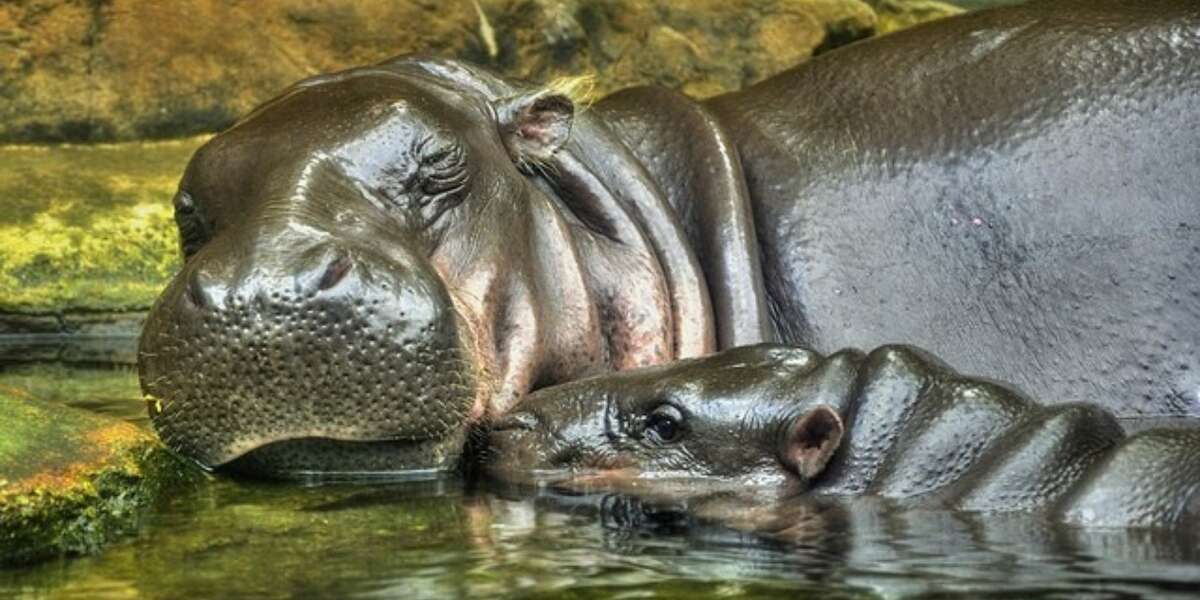 Live Oak, Texas visual data 4