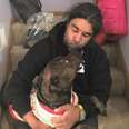 Dog Who Got Shot Can't Stop Kissing The Man Who Saved Him