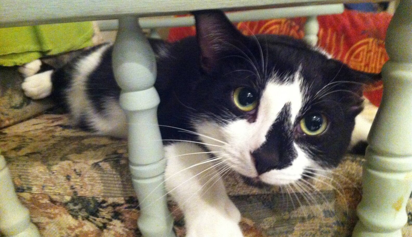 19 Of The Best Alarm Clocks In The World The Dodo