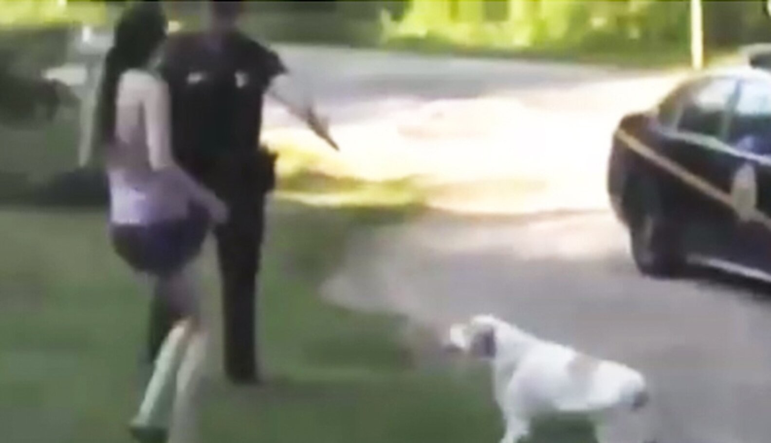 Cop Slams Woman To Ground For Protecting Innocent Dog The Dodo