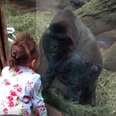 Zoo Gorilla Teaches Little Girl How To Give People The Finger