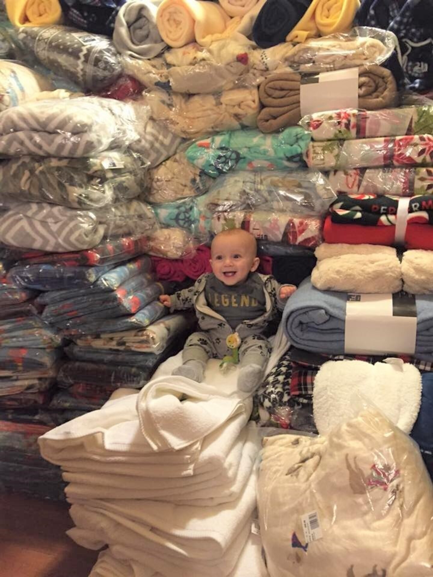 Shelter Dog Is Helping Other Animals Get Presents For Christmas The Dodo