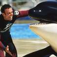 I Knew SeaWorld Was Terrible. Here's Why I Kept Working There Anyway.