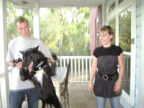 Wolf dog with his owner
