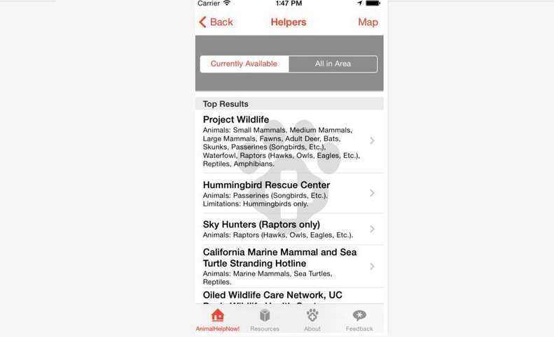 12 Smartphone Apps Every Animal Lover Should Have - The Dodo 12 Smartphone Apps Every Animal Lover Should Have - The Dodo