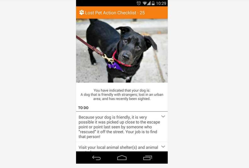 12 Smartphone Apps Every Animal Lover Should Have - The Dodo