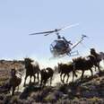 Ranchers Continue To Scapegoat Wild Horses