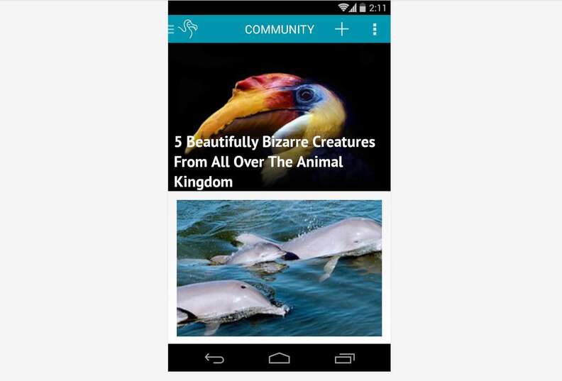 12 Smartphone Apps Every Animal Lover Should Have - The Dodo