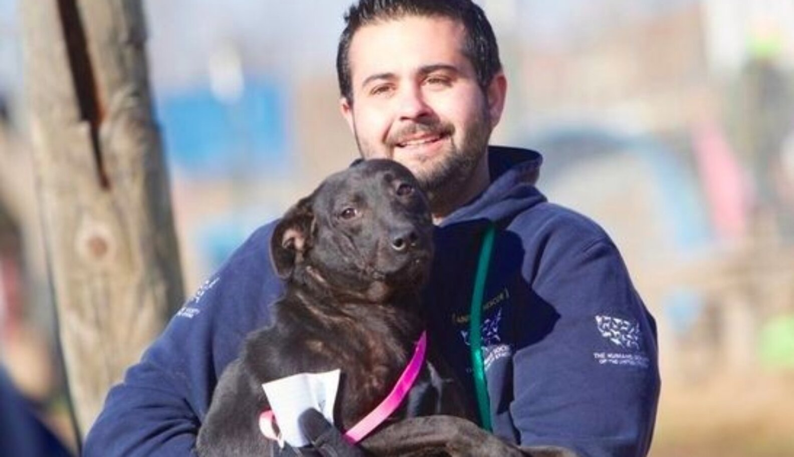 Dozens Of Dogs Rescued From Abusive Canine Training Camp The Dodo