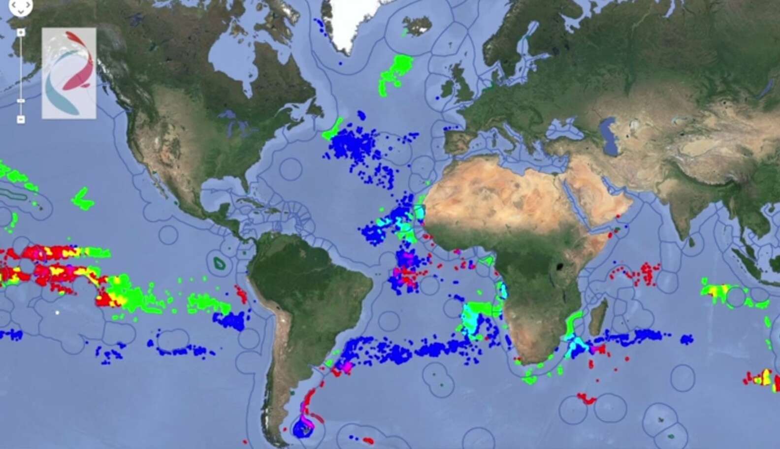 Google Unveils Massive Campaign To Fight Illegal Fishing - The Dodo