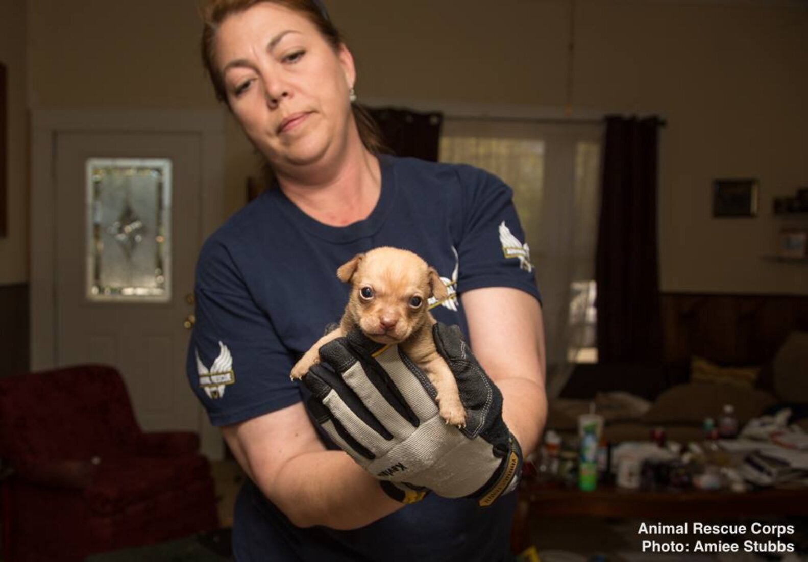 The Moment He Knew His Nightmare Was Behind Him The Dodo