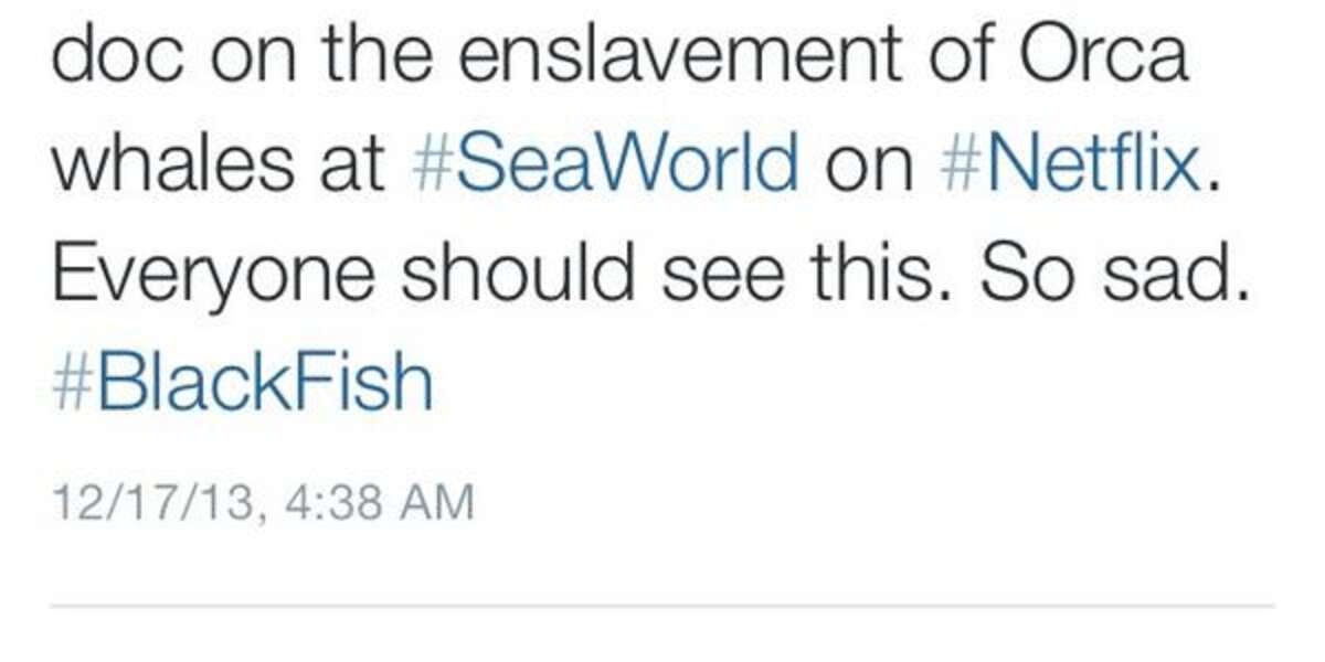 How do U spell bitch? aaronpaul_8 knows. It's S E A W O R L D 