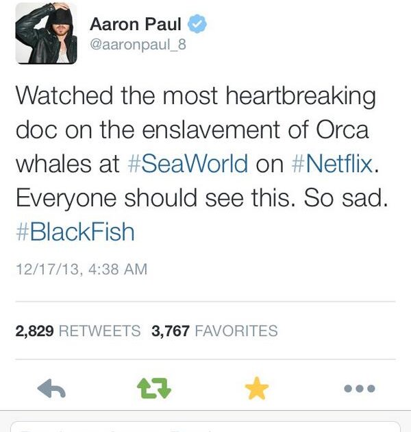 How do U spell bitch? aaronpaul_8 knows. It's S E A W O R L D 