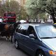 Carriage Drivers Mislead NYC Citizens To Keep Horses Working