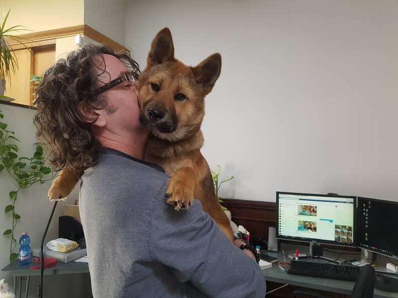 Jiho, a puppy rescued from a dog tonic shop in South Korea