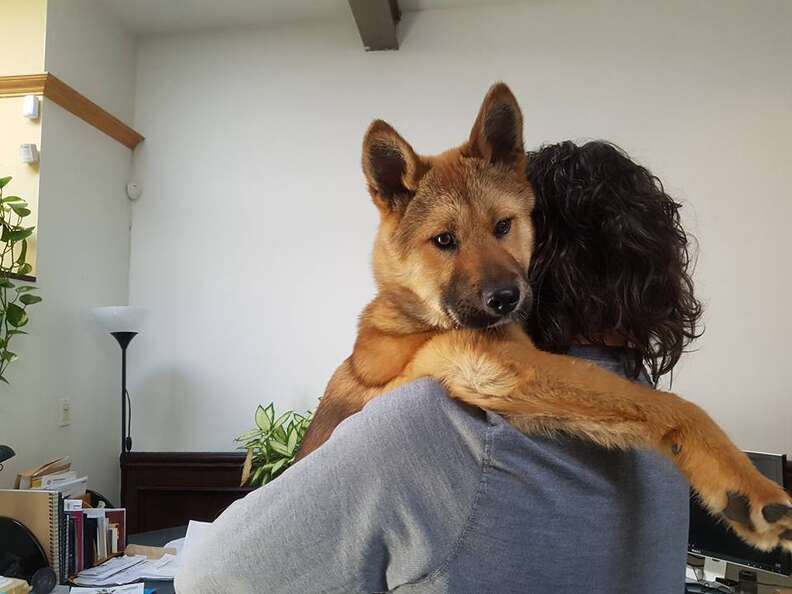 Jiho, a puppy rescued from a dog tonic shop in South Korea