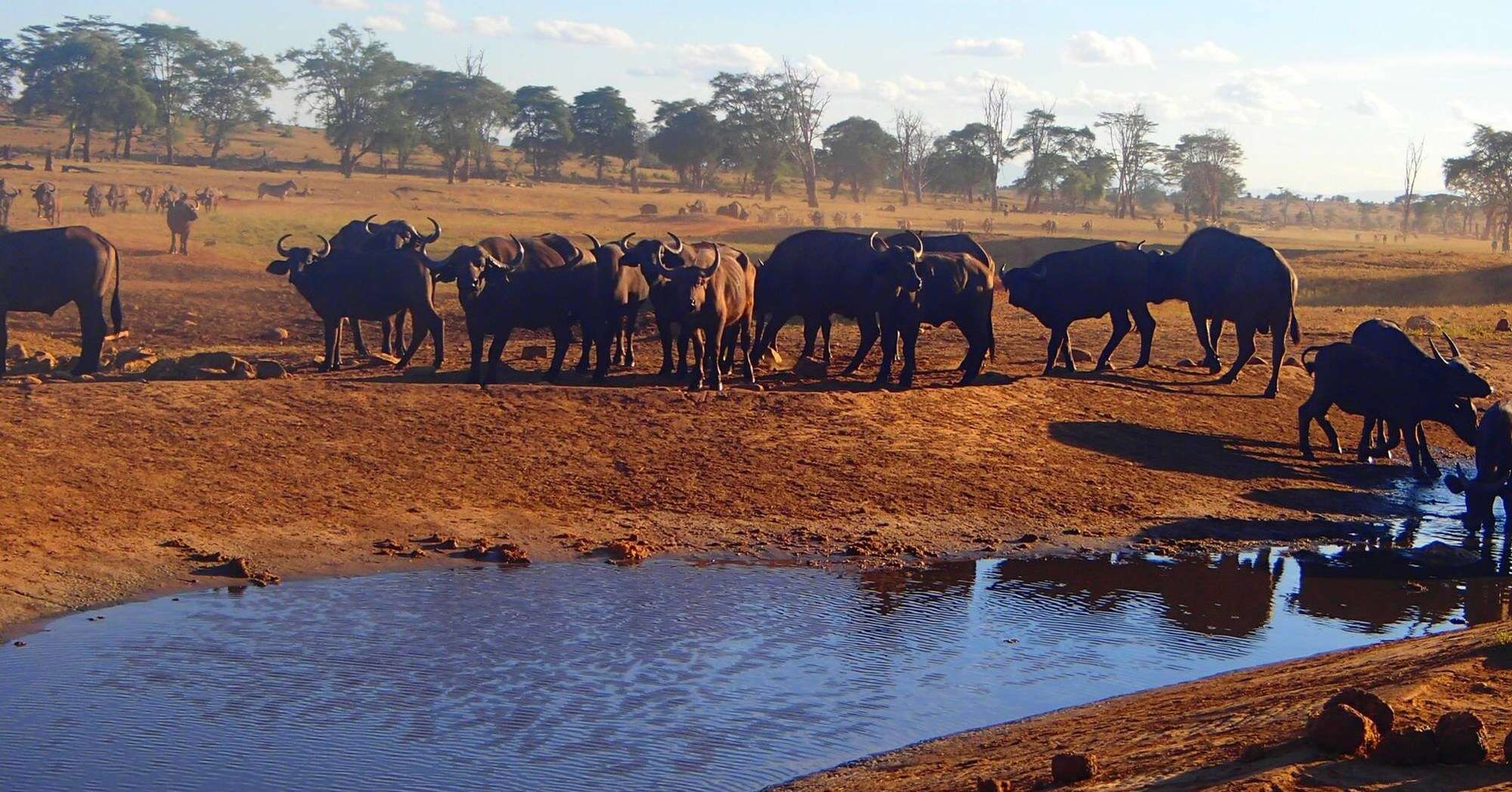 water truck in tsavo kenya