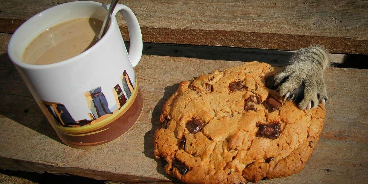 14 Cats Who Are Stealing Your Sh*t The Dodo