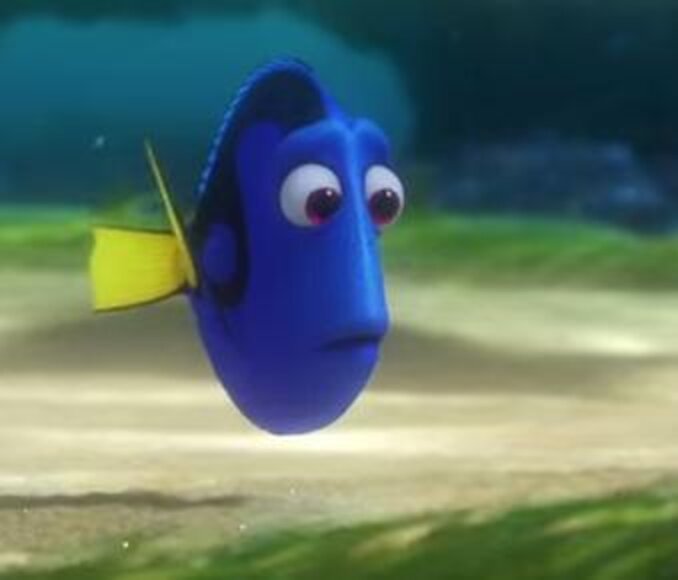 ‘Finding Dory’ Sends A Clear Message To SeaWorld The Dodo