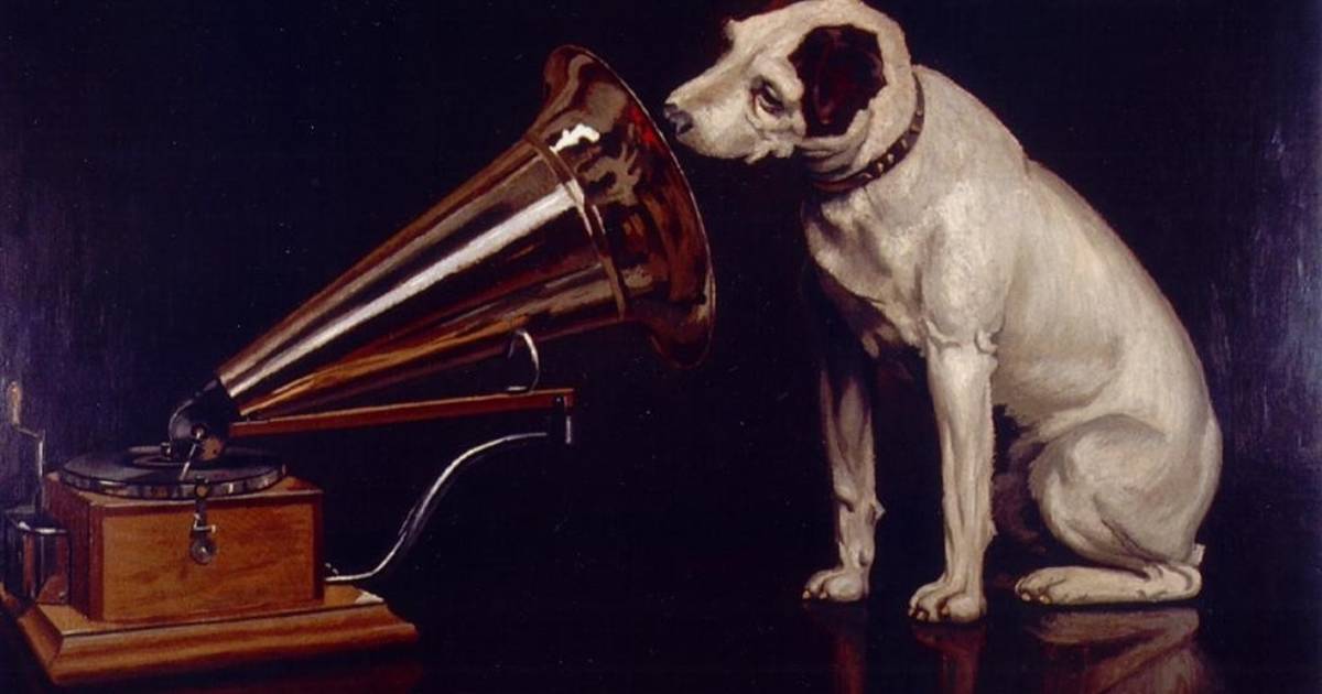 do dogs really like classical music