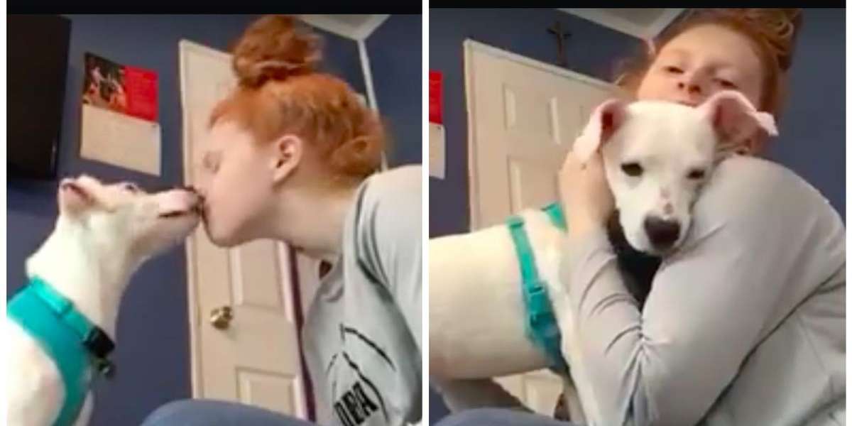 Deaf Woman Teaches Her Newly Adopted Deaf Dog The Sign For 'I Love You ...