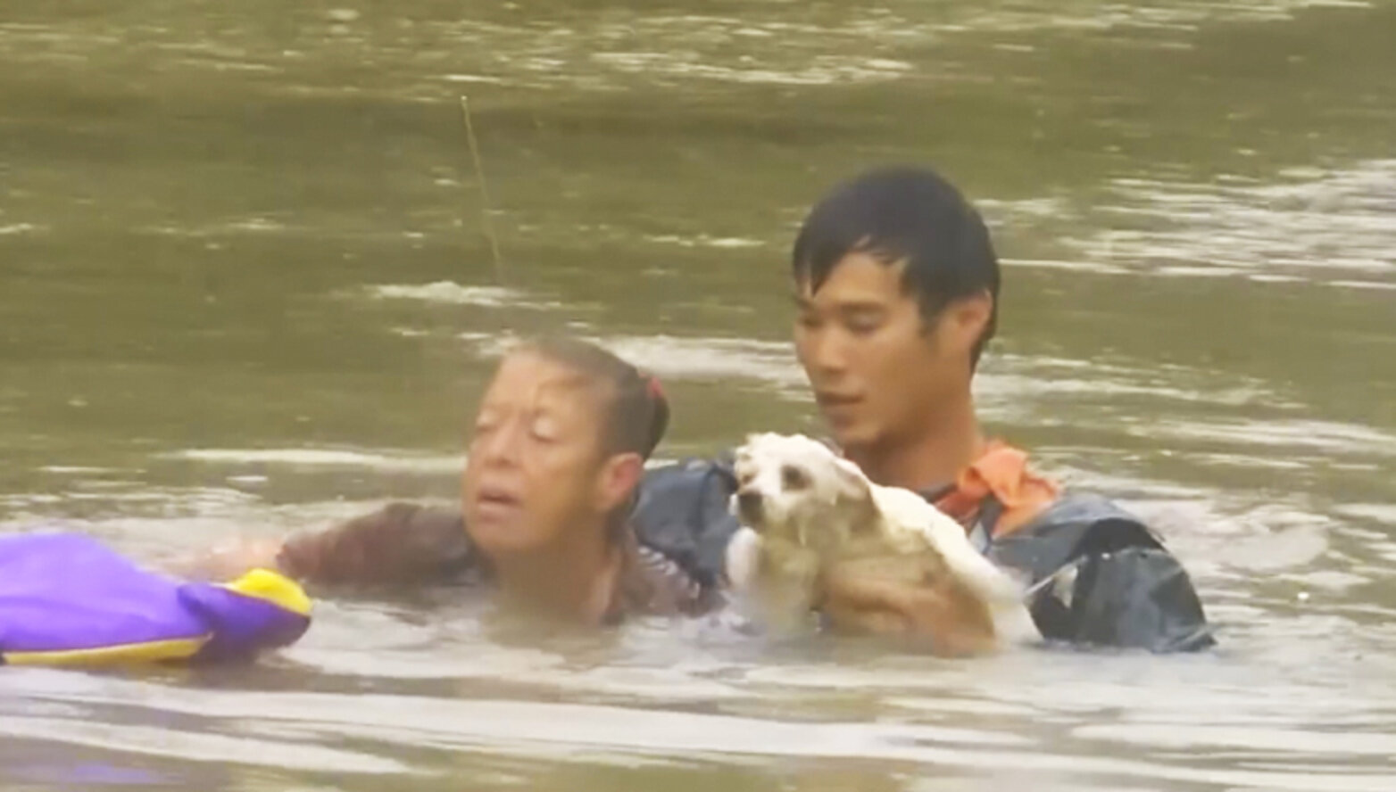 Man Pulls Woman From Sinking Car — Then Goes Back To Save Her Dog - The ...