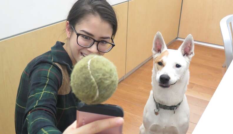 Tennis ball outlet selfie