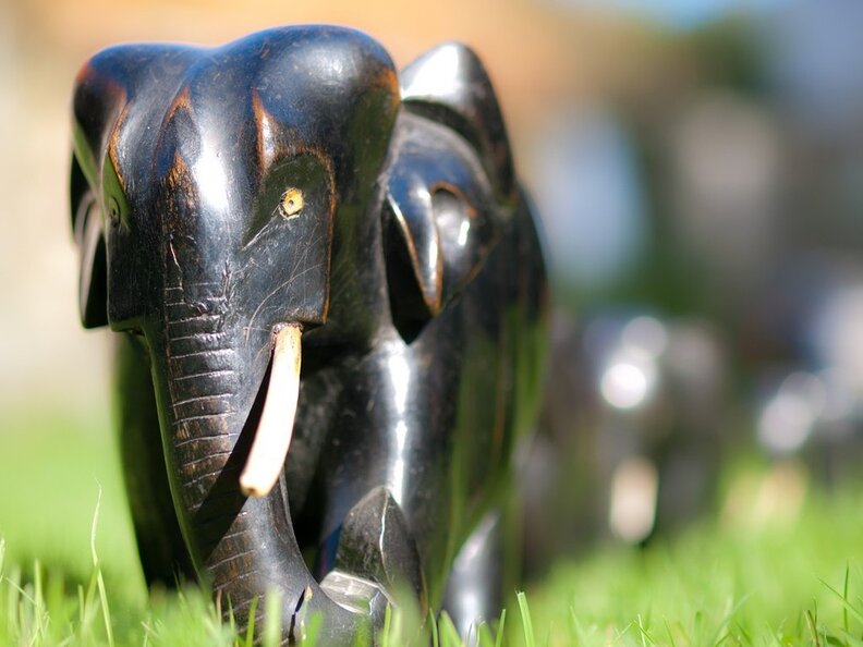Ivory Theft Ivory Stolen from D.C. Mayor’s Office, But Why Was It On Display? - The ...