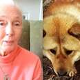 Jane Goodall Speaks Out About Dog Meat Farms
