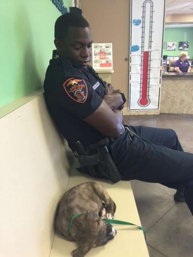 Cop Finds Stray Puppy And Won't Leave Her Side Until He Knows She's Safe - The Dodo
