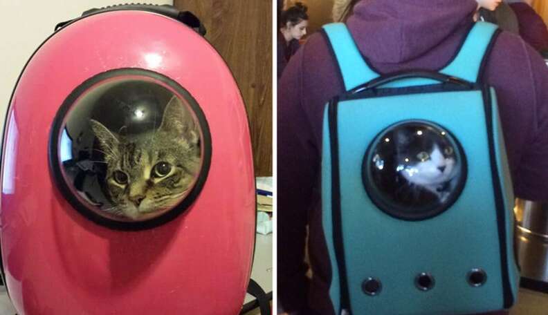 Genius Cat Pack Lets Your Pet Travel Like A Little Astronaut The