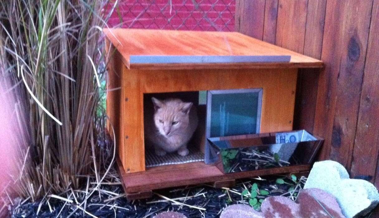 feral cat fish box house Solid Wood Outdoor Cat Shelter Ventilated for Summer – shopGDLF Your kitty doesn’t need a green thumb to get in on all this scratching fun Coolers Turned Into Cat Shelters