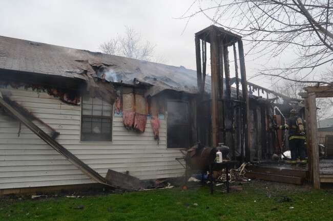 Hero Pit Bull Credited With Saving His Human's Life During Fire - The Dodo