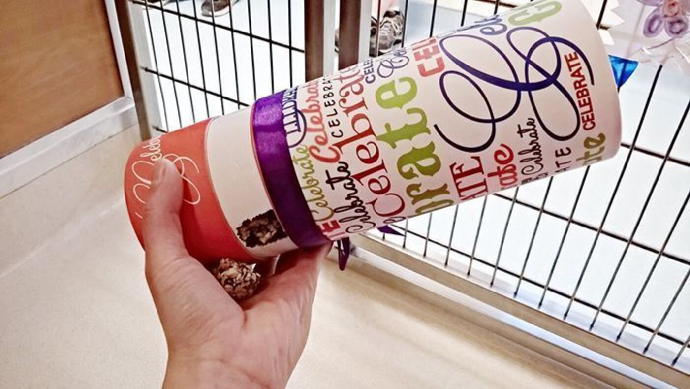 People Spend The Night In Shelter To See What Life�s Like