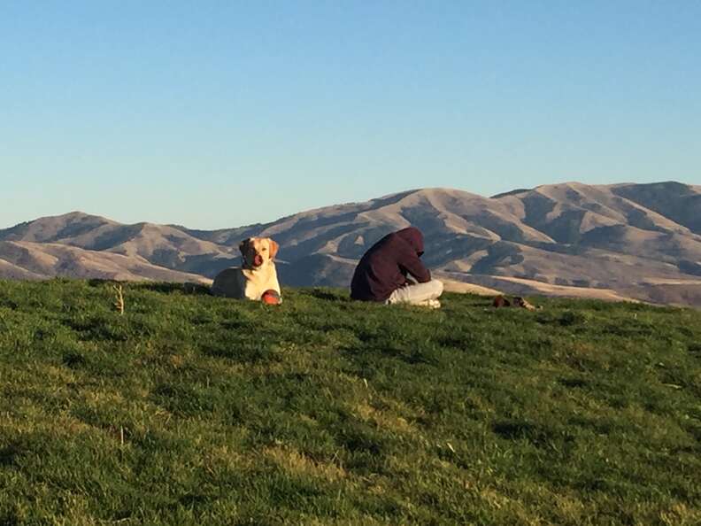 Ridgeline where M44 that killed Idaho dog was planted by Wildlife Services