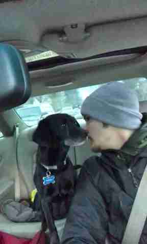 guy rescues dog while delivering pizzas