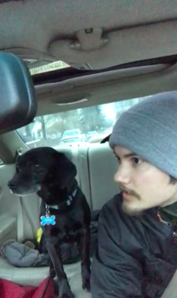 Pizza Guy Rescues Lost Dog During A Delivery The Dodo