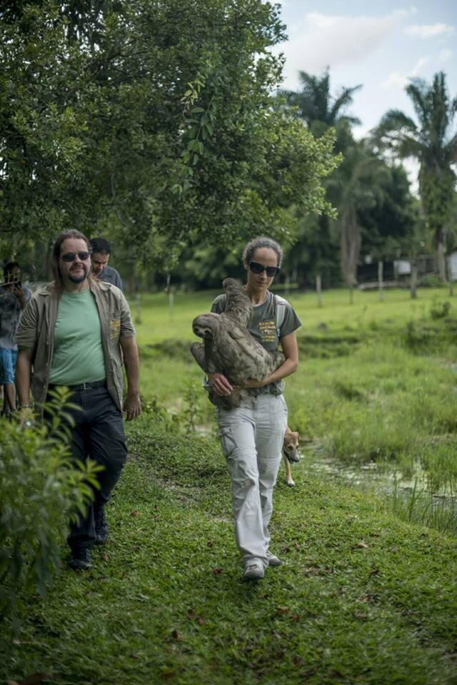 Stunning Photos Show Rescuers Saving A Sloth The Dodo