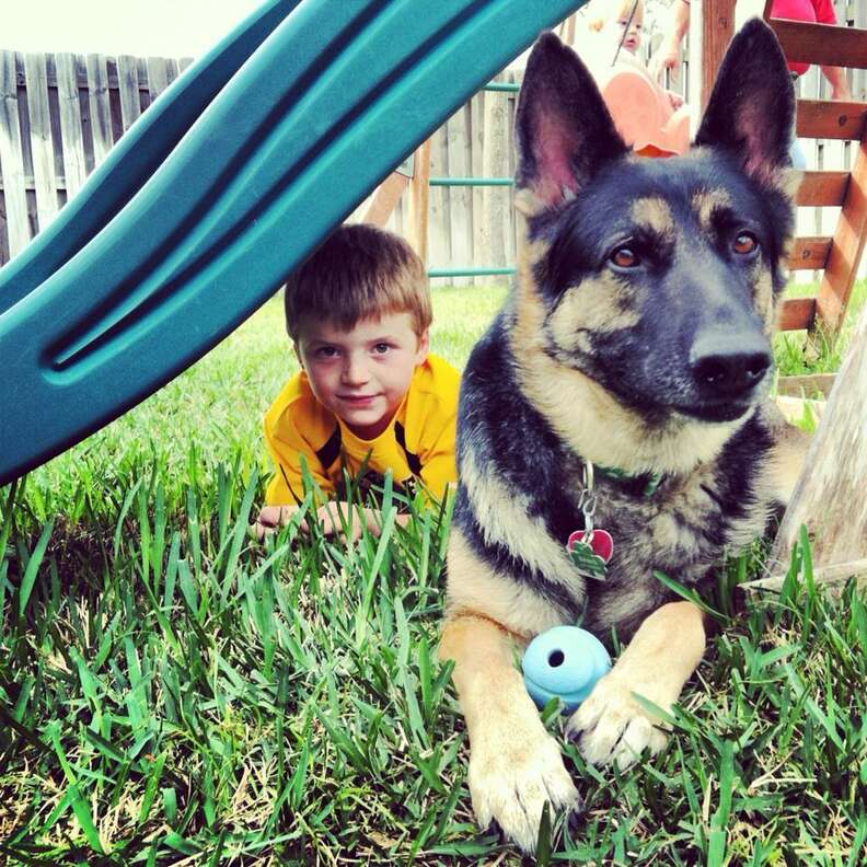 Dogs Who Are Awesome Parents ... To Their Human Kids - The Dodo