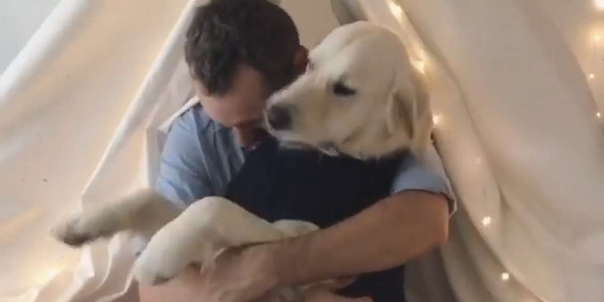 Dog Loves To Fall Into His Dad's Arms - The Dodo