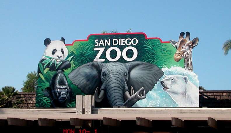 The Case For No Zoos - The Dodo